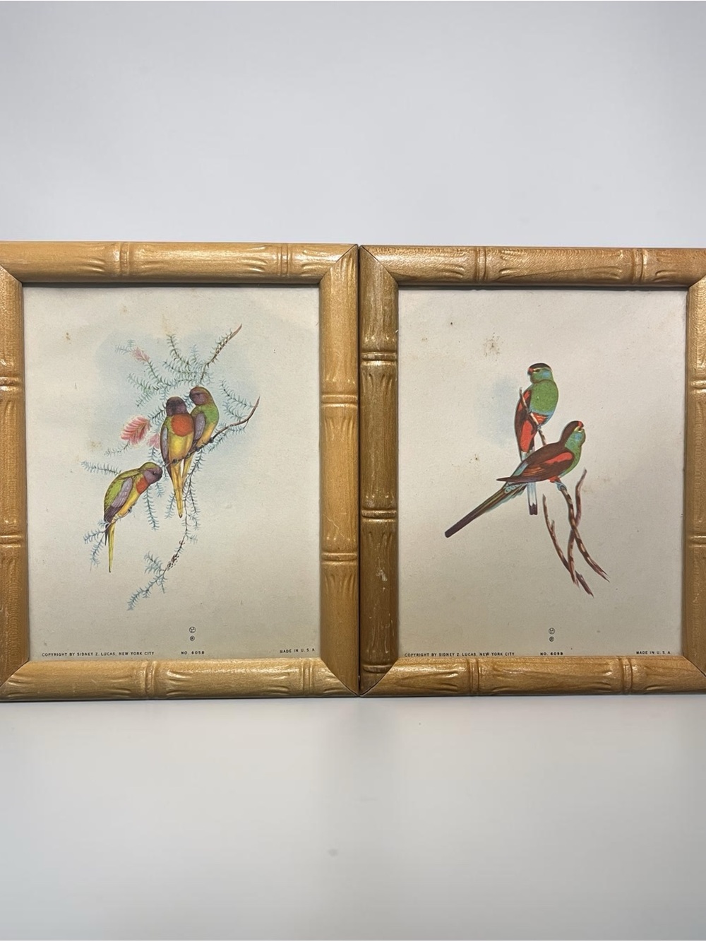 Set of 2 Vintage J Gould Numbered 4.5x5.5 Tropical Bird Prints Bamboo Frames